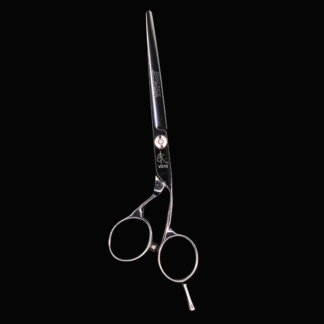 DELINEO MASTER 6.0 VG10